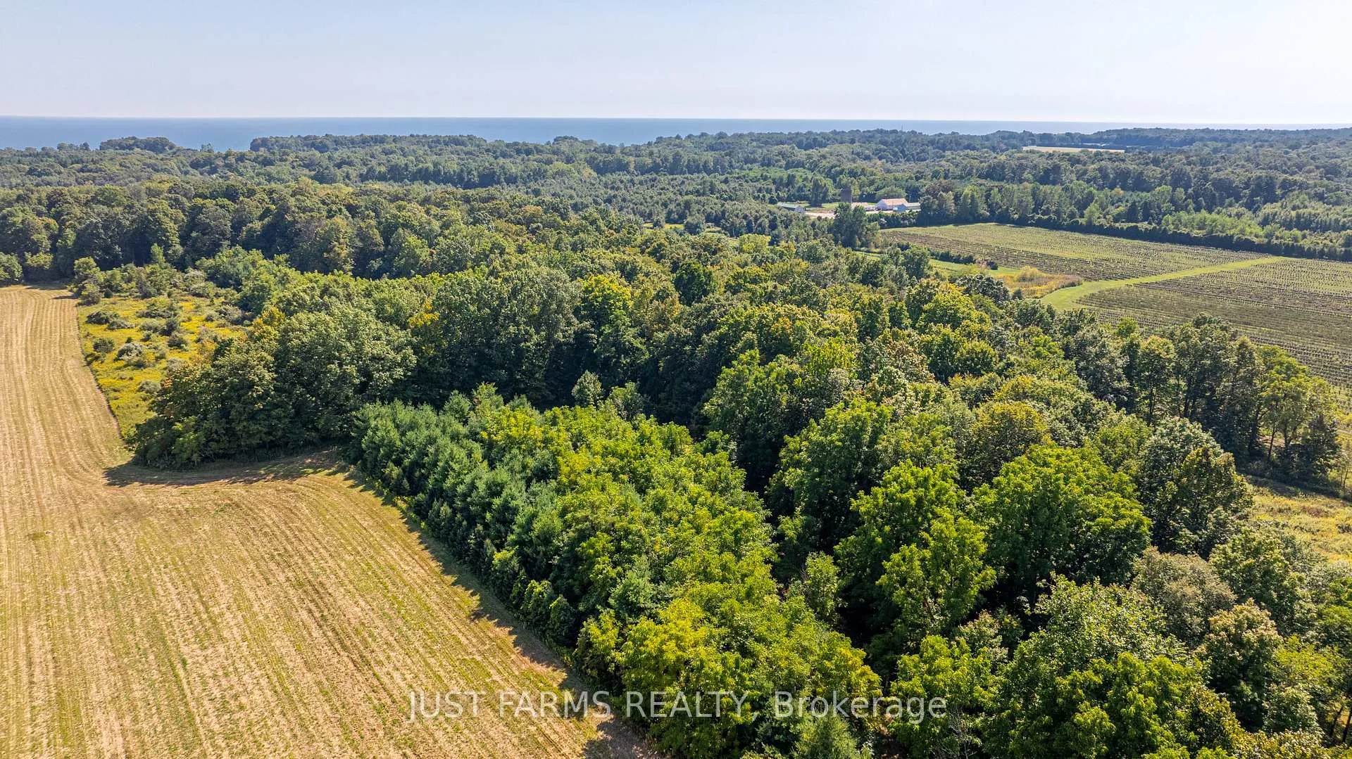 Photo 13 of 22889 Talbot Line, West Elgin, Rural West Elgin — HOMEH
