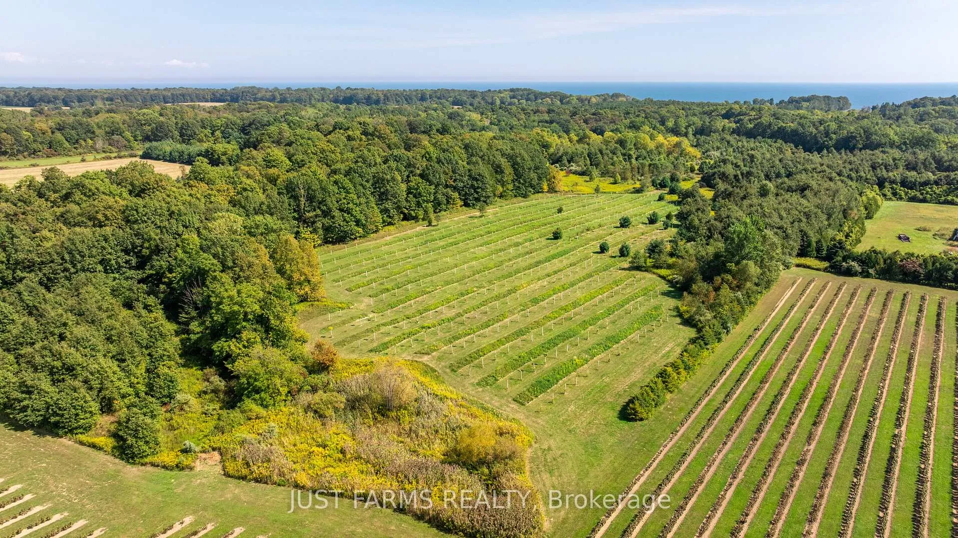 Photo 14 of 22889 Talbot Line, West Elgin, Rural West Elgin — HOMEH