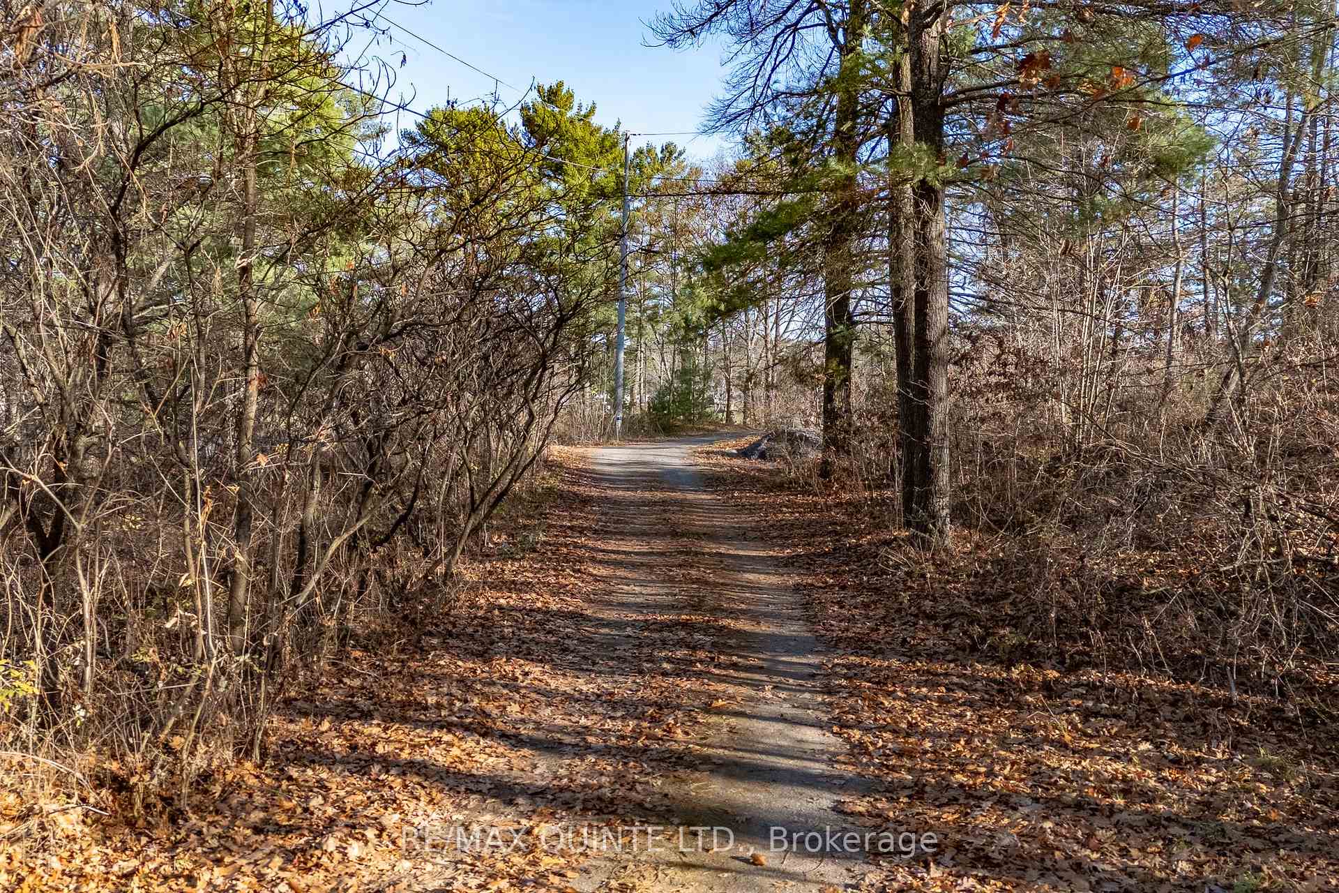 Photo 41 of 99 Kanata Lane, Tweed, Hungerford (Twp) — HOMEH
