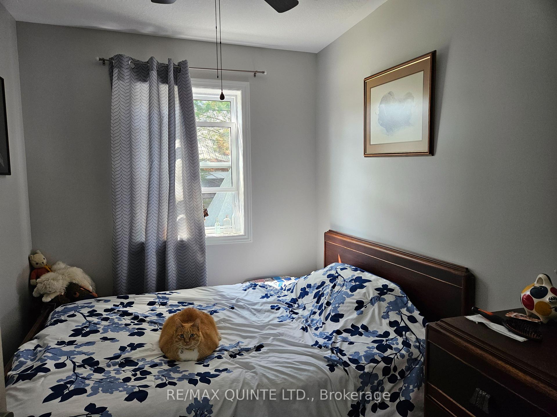 Photo 14 of 35 Hungerford Street, Tweed, Elzevir (Twp) — HOMEH