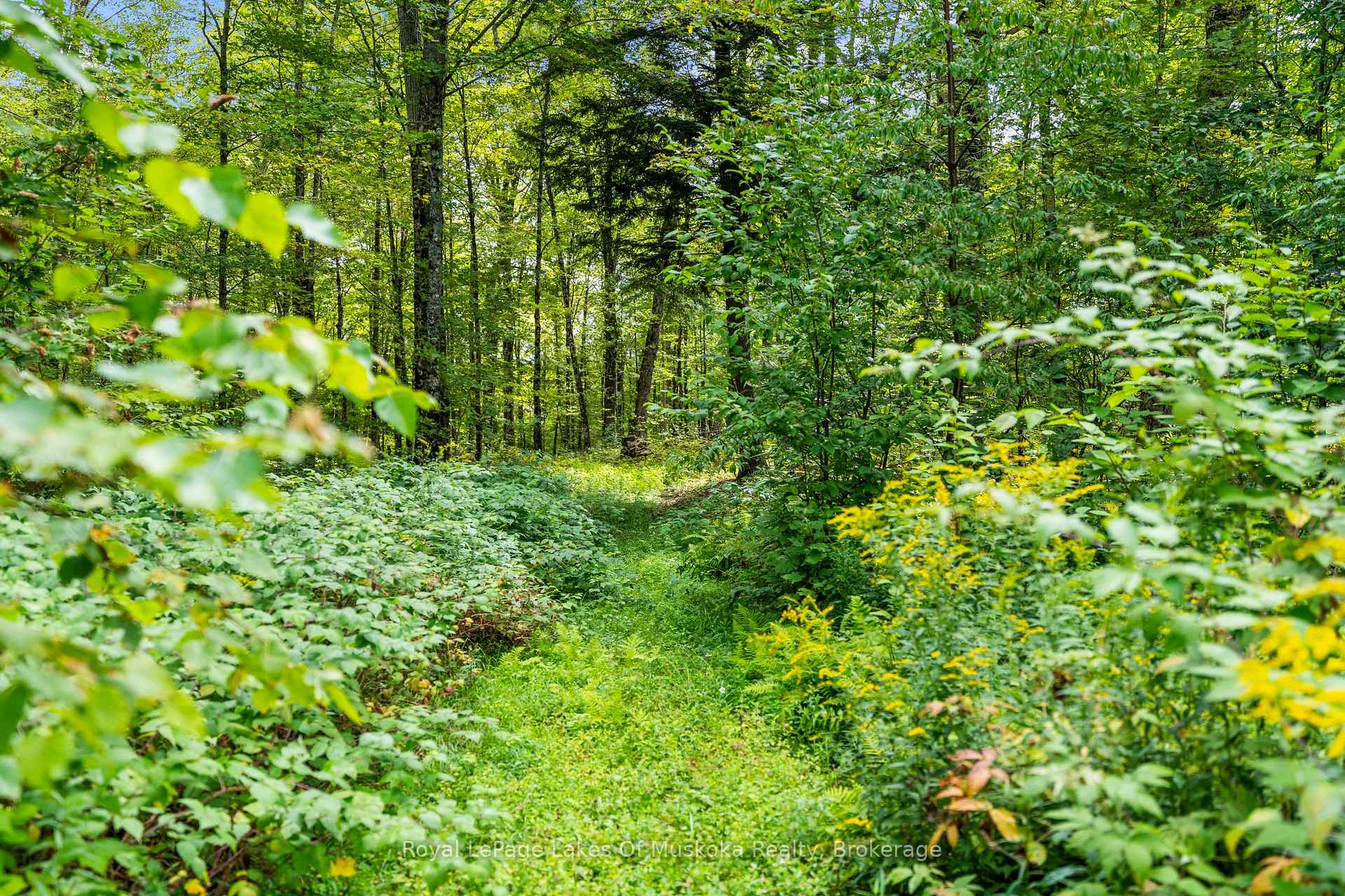 Photo 26 of 1101 Skyline Drive, Armour — HOMEH