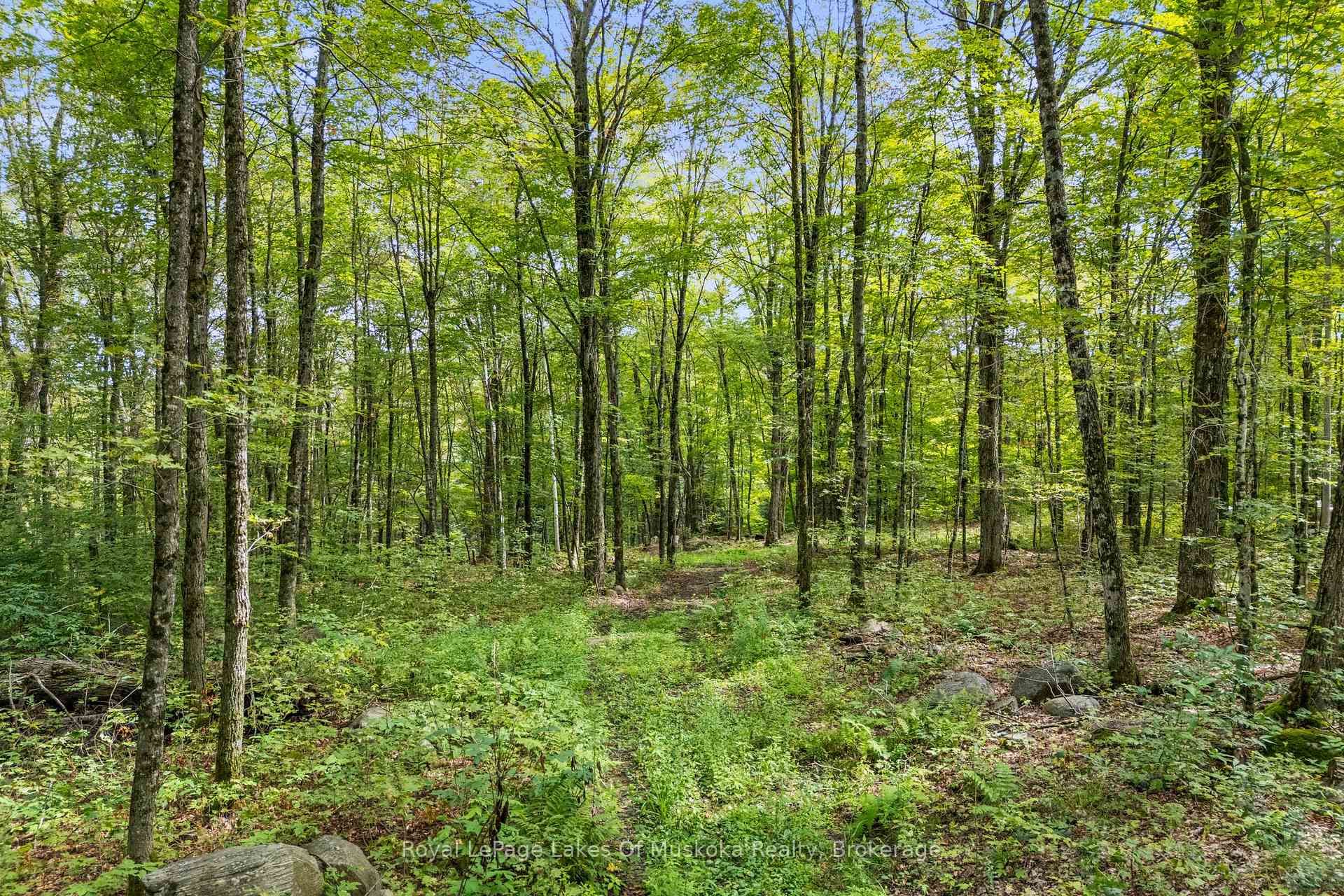 Photo 27 of 1101 Skyline Drive, Armour — HOMEH