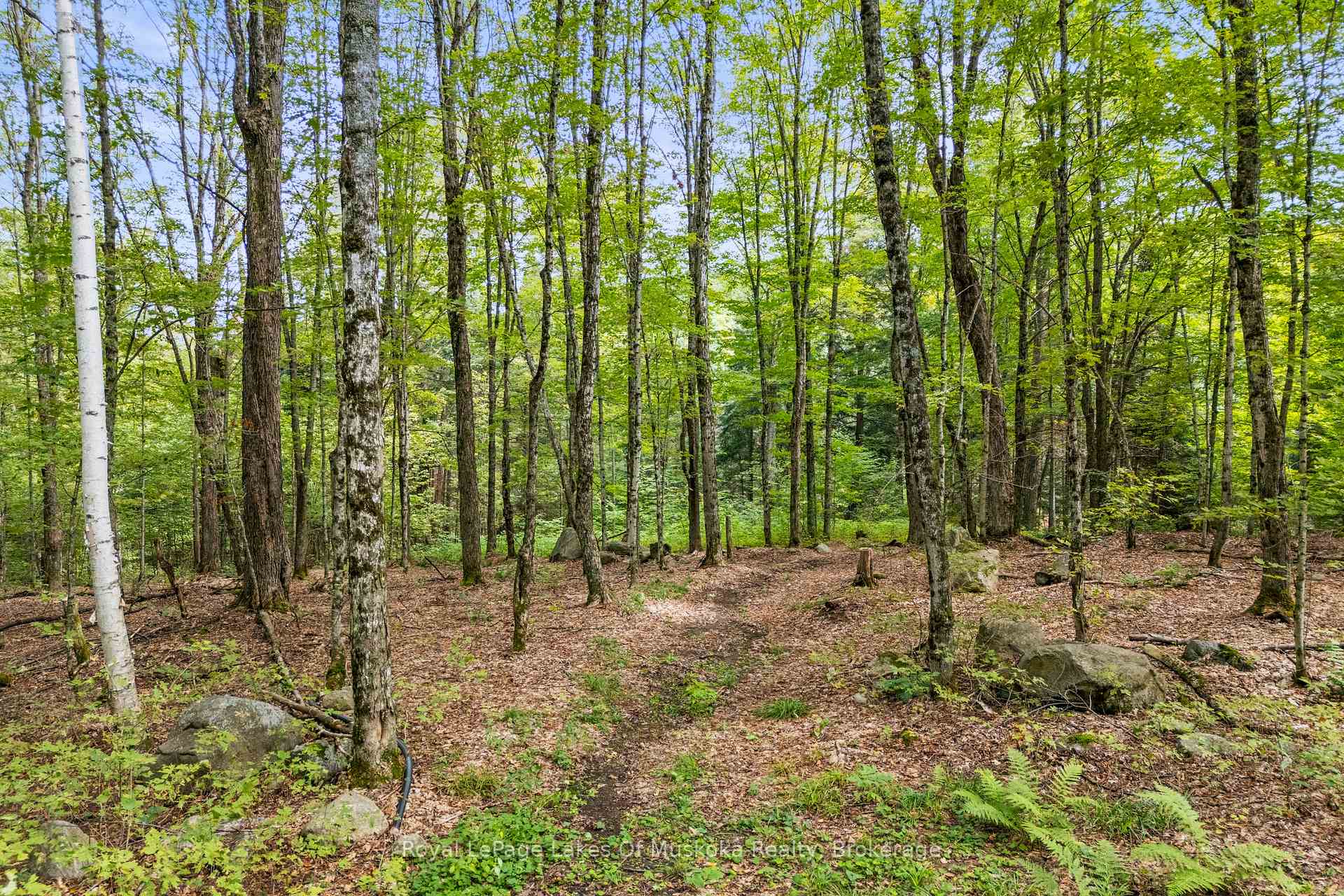 Photo 28 of 1101 Skyline Drive, Armour — HOMEH