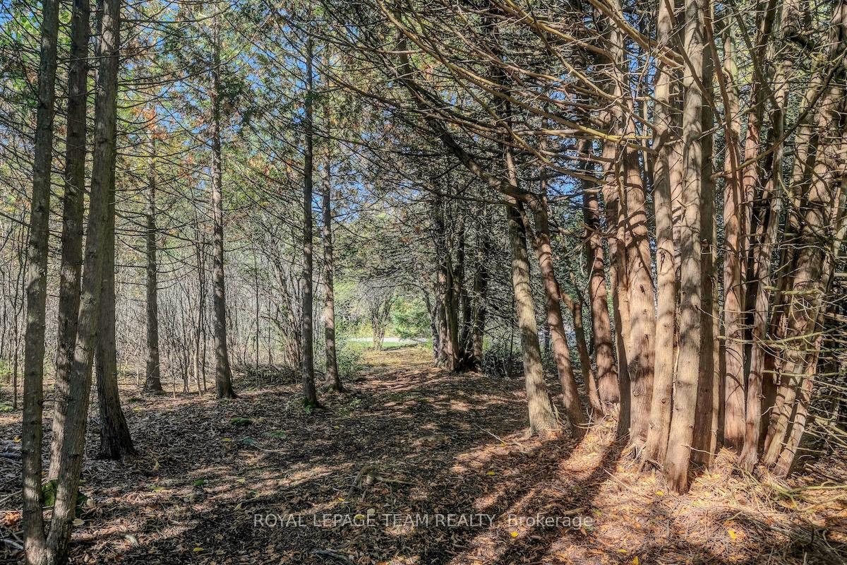 Photo 35 of 491 Lake Avenue E, Beckwith, Beckwith Twp — HOMEH