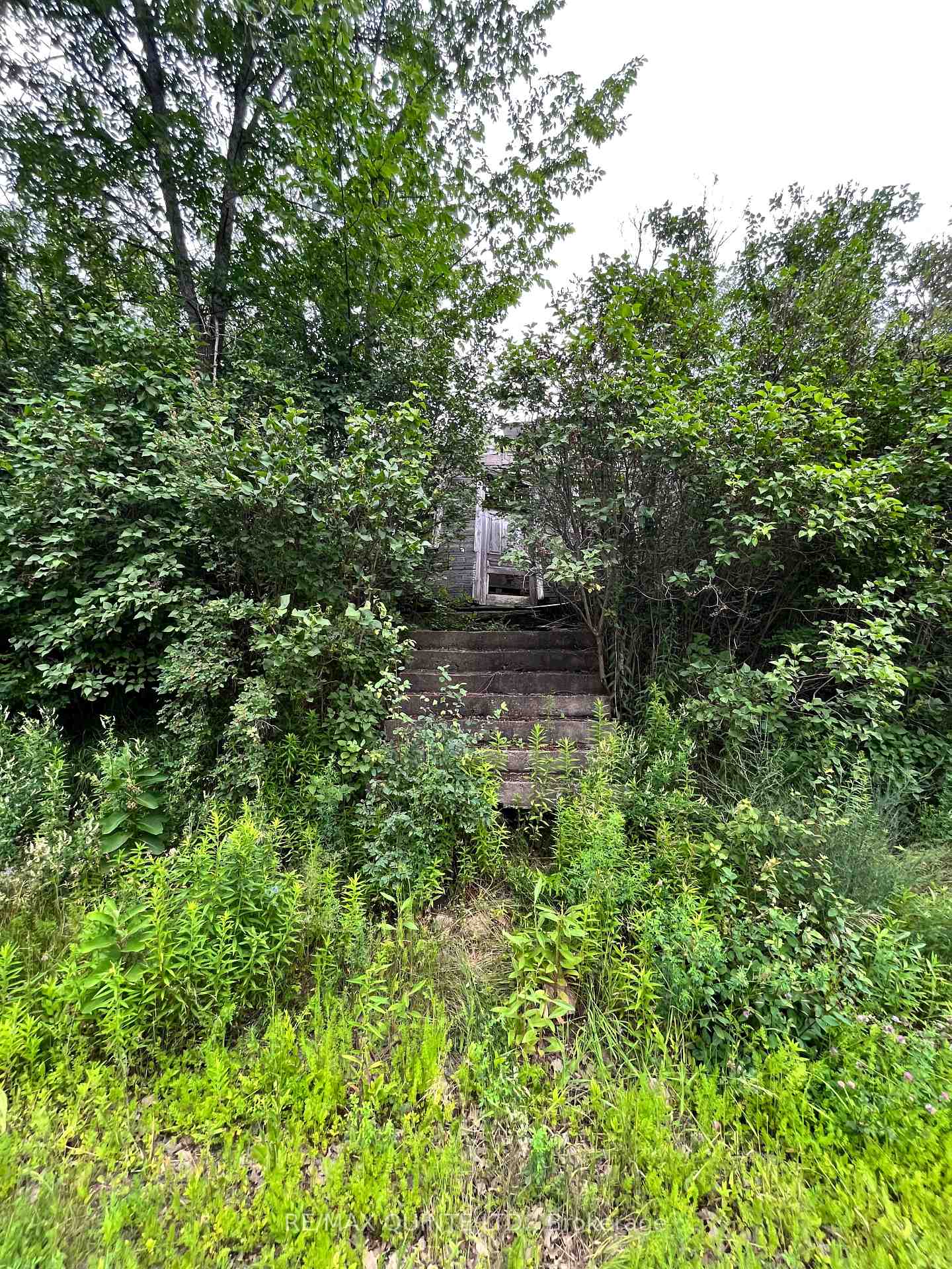 Photo 2 of 1675 Sulphide Road, Tweed, Hungerford (Twp) — HOMEH
