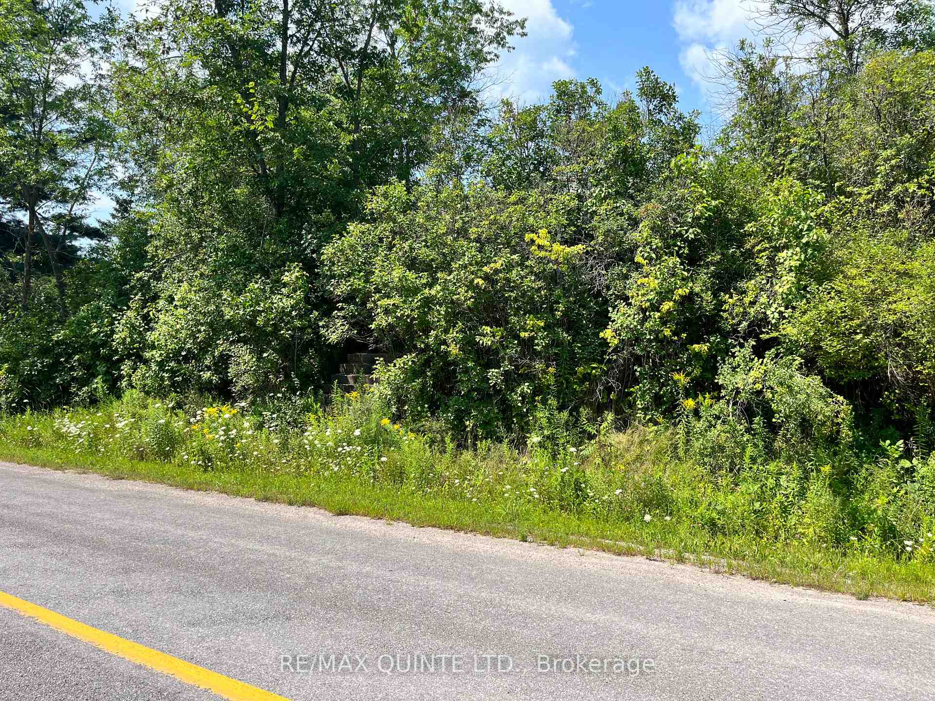 Photo 6 of 1675 Sulphide Road, Tweed, Hungerford (Twp) — HOMEH