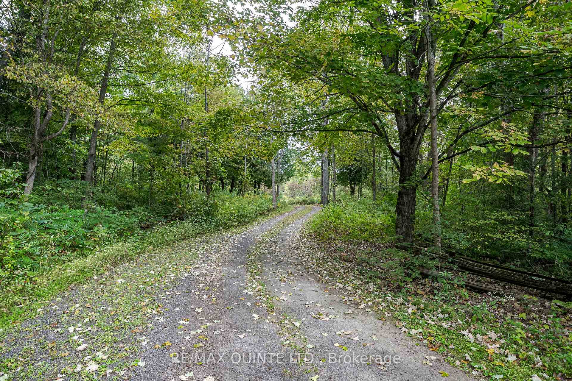 Photo 2 of 289 Maines Road, Tweed, Hungerford (Twp) — HOMEH