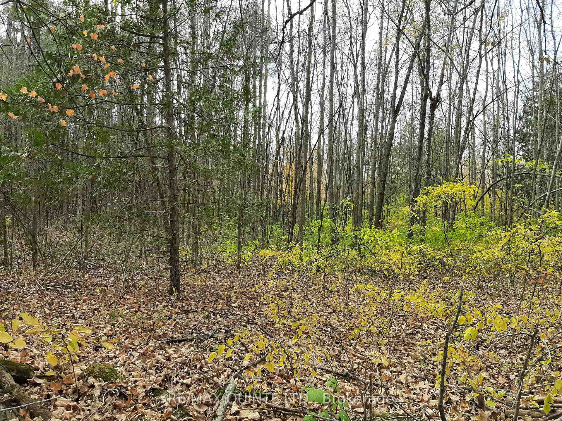 Photo 37 of 289 Maines Road, Tweed, Hungerford (Twp) — HOMEH