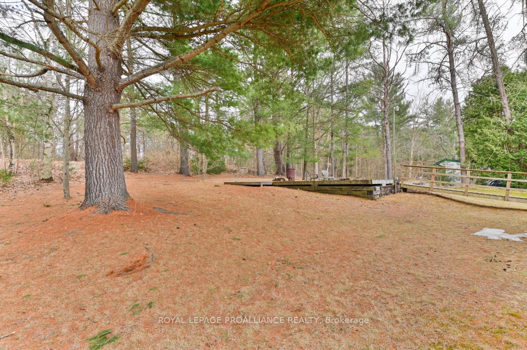 Photo 34 of 8116 Highway 37, Tweed, Hungerford (Twp) — HOMEH