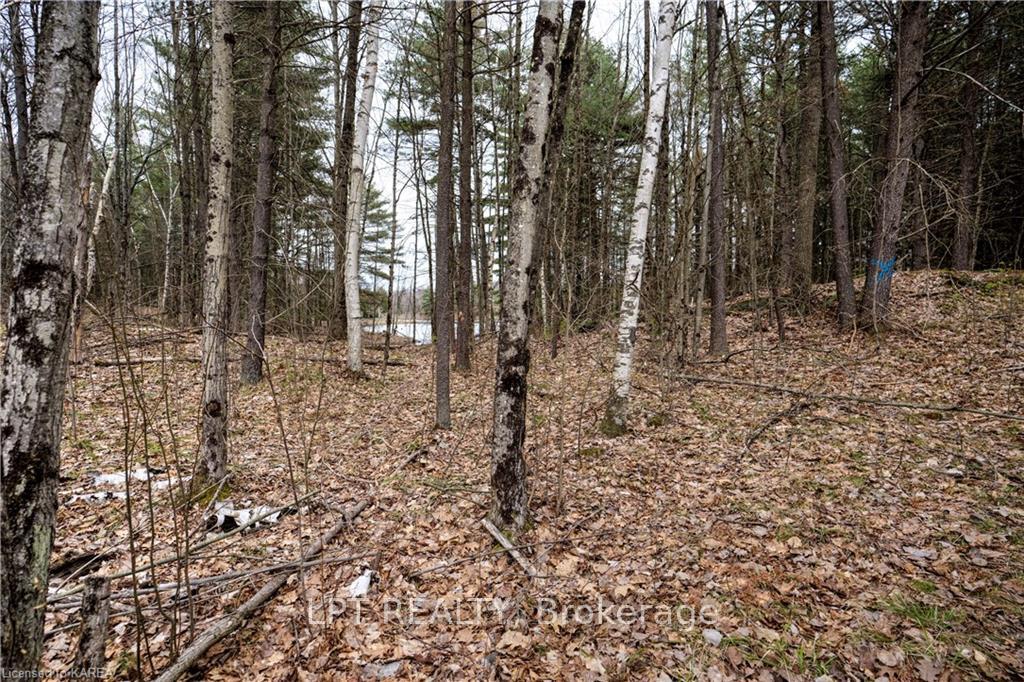 Photo 7 of OLD Sulphide Road, Tweed, Hungerford (Twp) — HOMEH