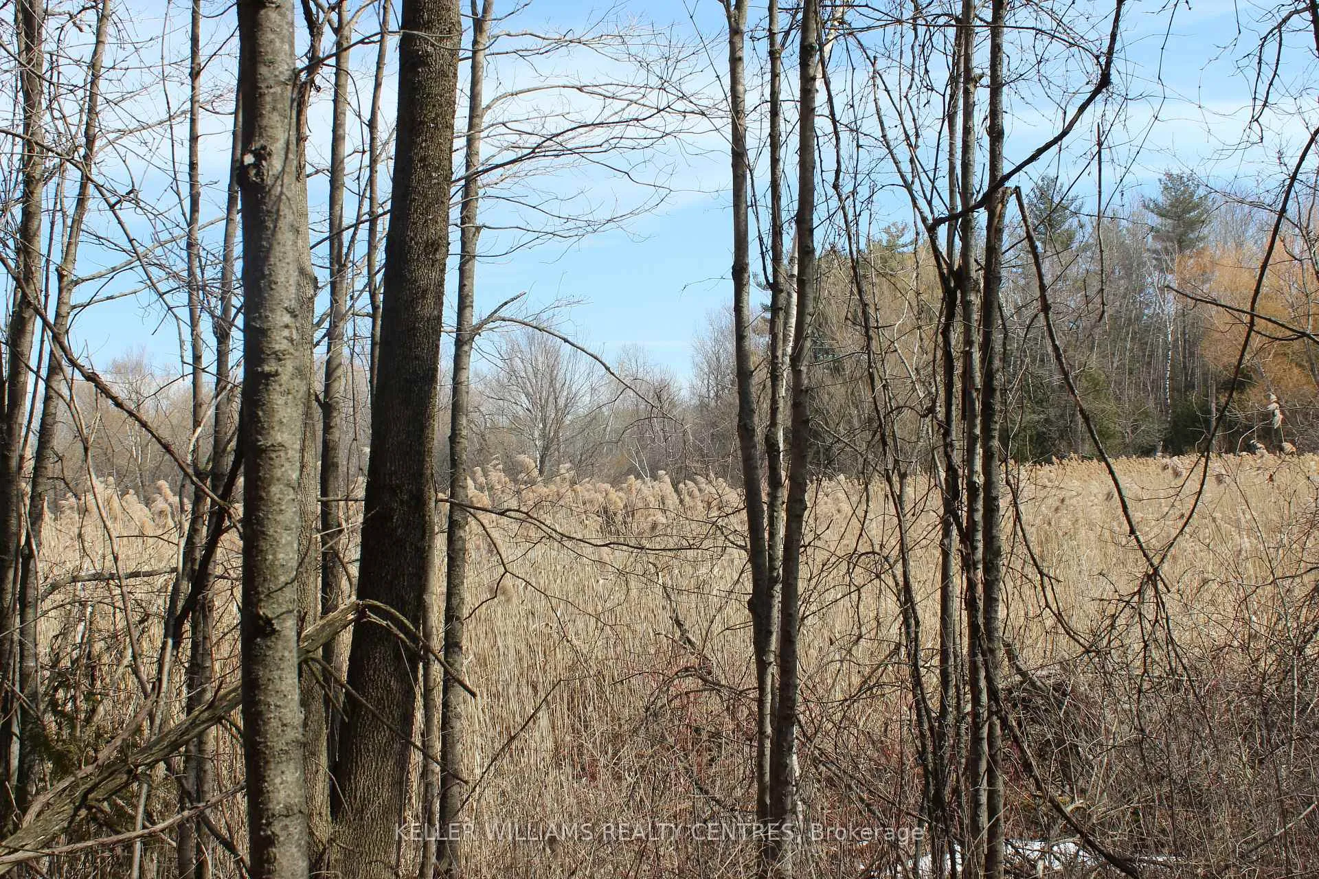 Photo 4 of TBA Concession Rd 2, Uxbridge, Rural Uxbridge — HOMEH