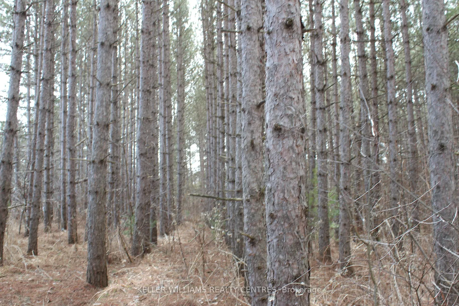Photo 10 of TBA Concession Rd 2, Uxbridge, Rural Uxbridge — HOMEH
