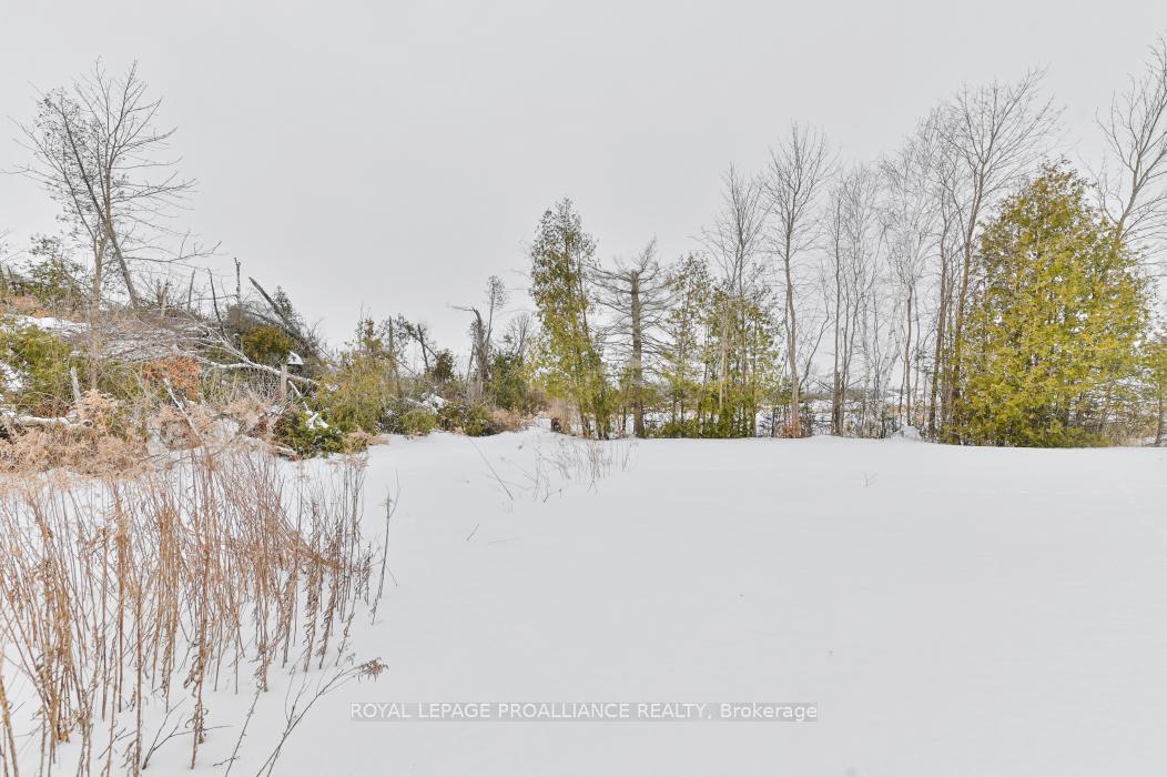 Photo 27 of 109770 Highway 7, Tweed, Elzevir (Twp) — HOMEH