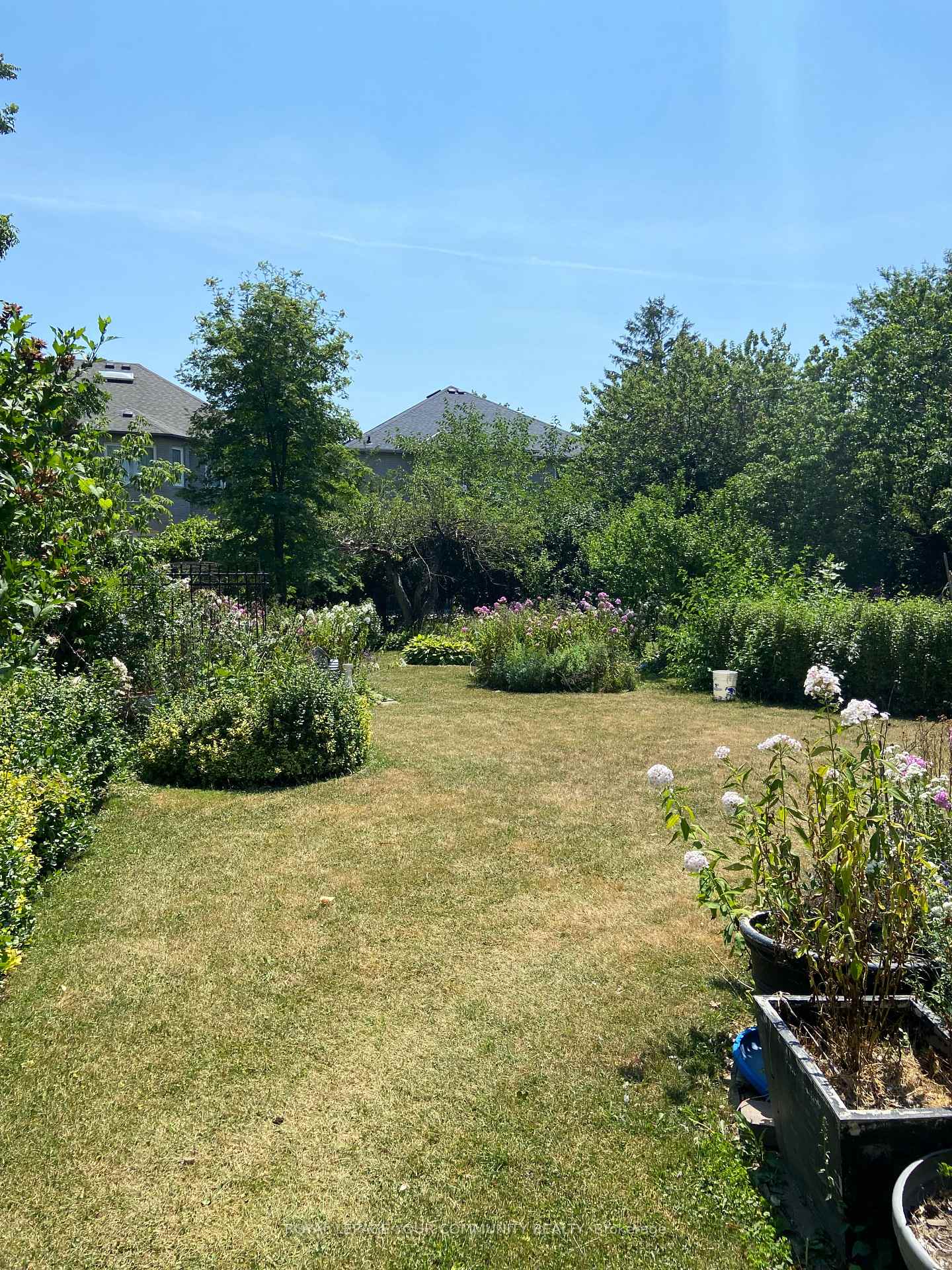 Photo 5 of 219 Arnold Avenue, Vaughan, Crestwood-Springfarm-Yorkhill — HOMEH