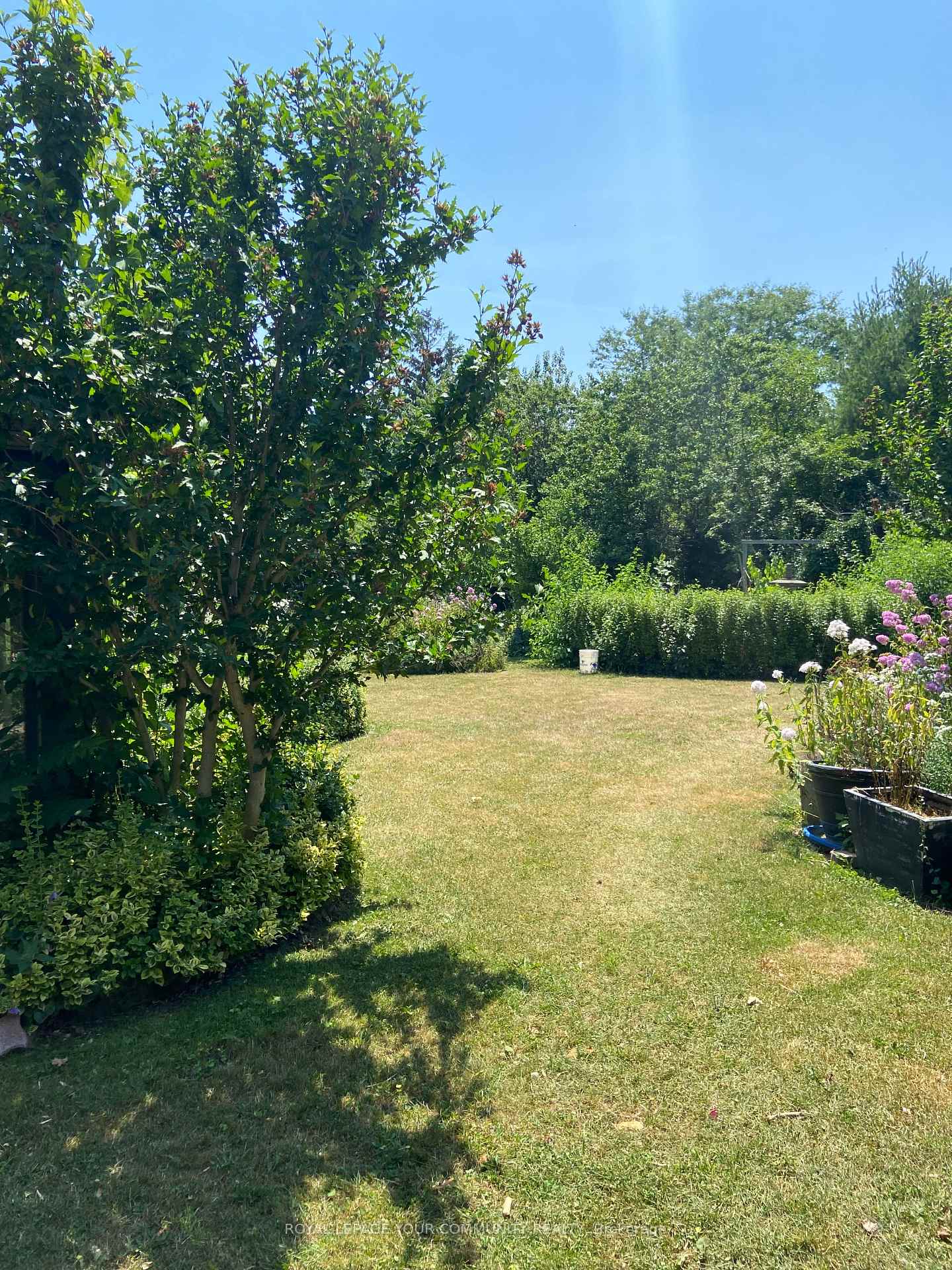 Photo 6 of 219 Arnold Avenue, Vaughan, Crestwood-Springfarm-Yorkhill — HOMEH