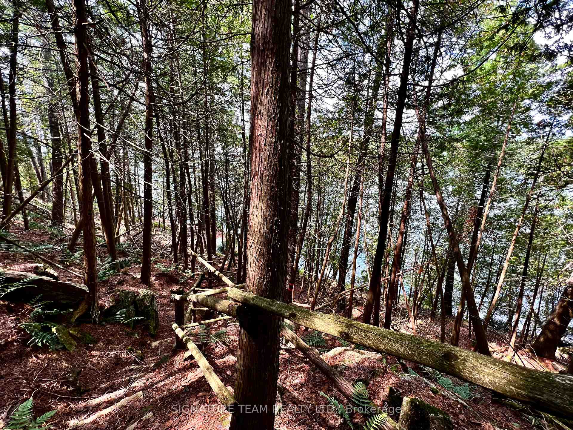 Photo 34 of 103 Bald Rock Trail, Bonnechere Valley, Eganville/Bonnechere Twp — HOMEH