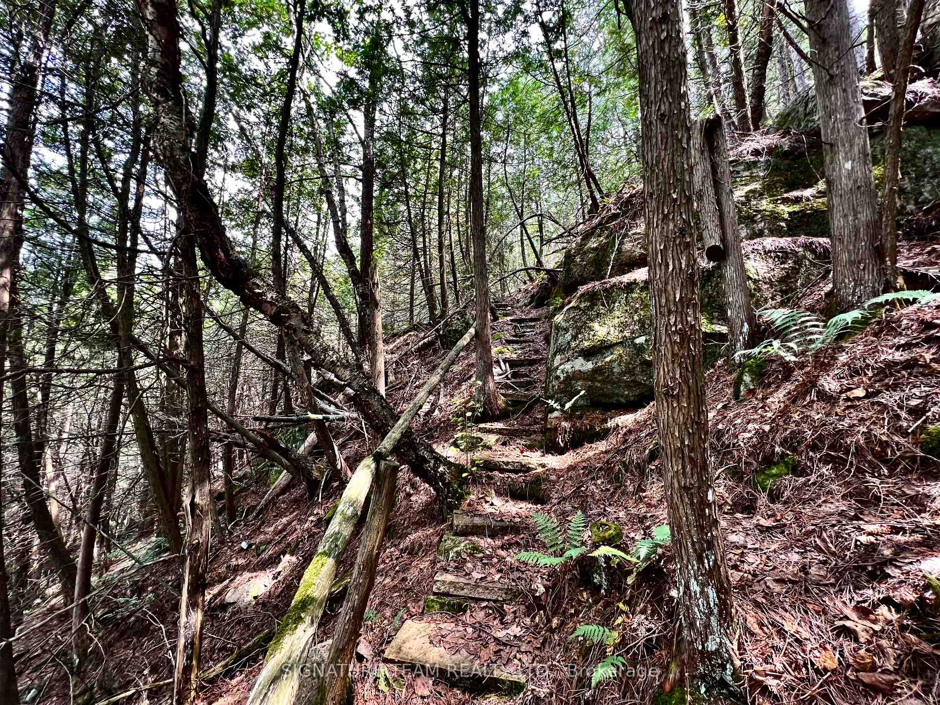Photo 36 of 103 Bald Rock Trail, Bonnechere Valley, Eganville/Bonnechere Twp — HOMEH