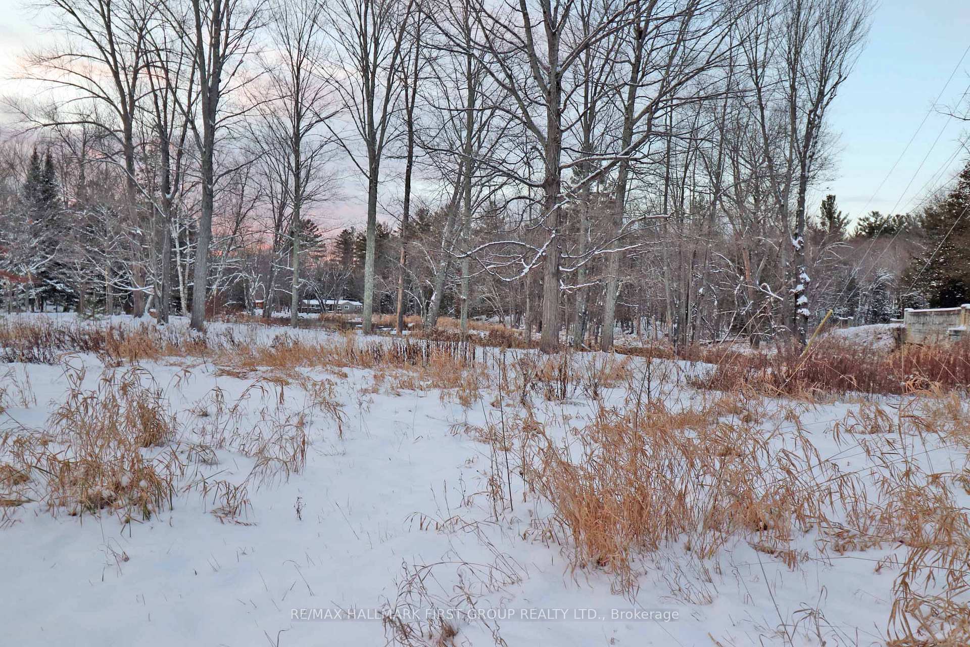 Photo 1 of Pt Lt 3 Rapids Road, Tweed, Hungerford (Twp) — HOMEH