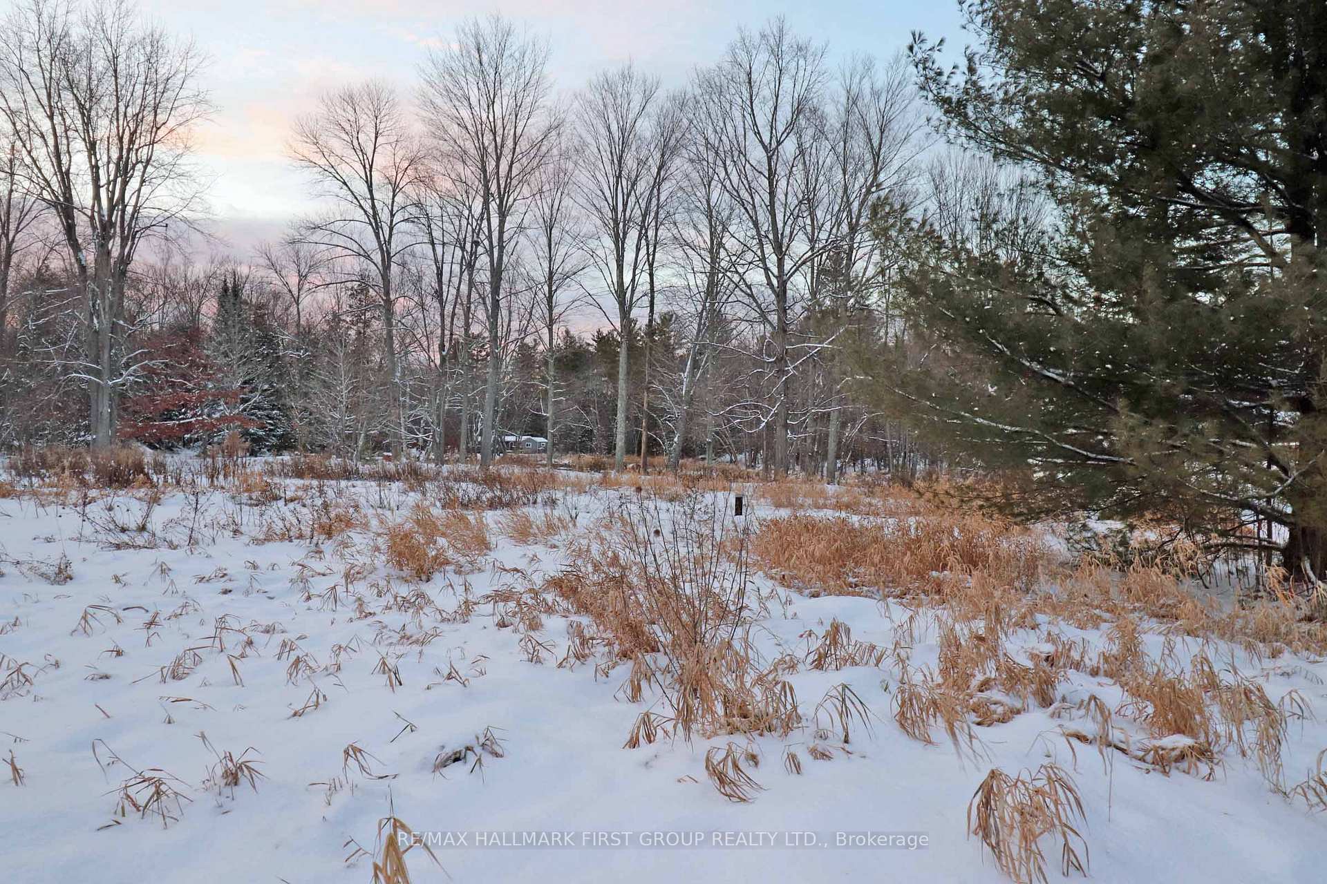 Photo 9 of Pt Lt 3 Rapids Road, Tweed, Hungerford (Twp) — HOMEH