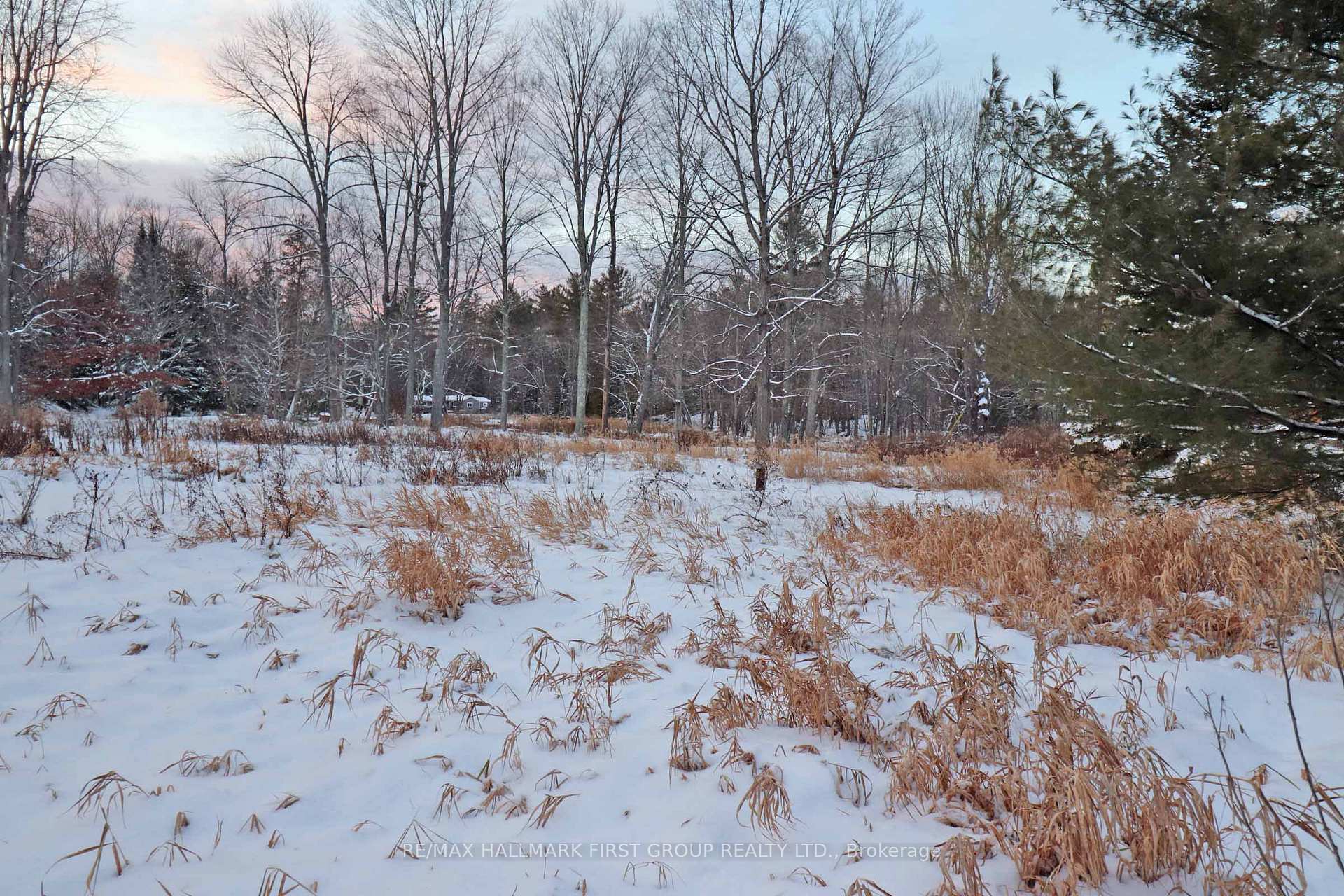 Photo 10 of Pt Lt 3 Rapids Road, Tweed, Hungerford (Twp) — HOMEH