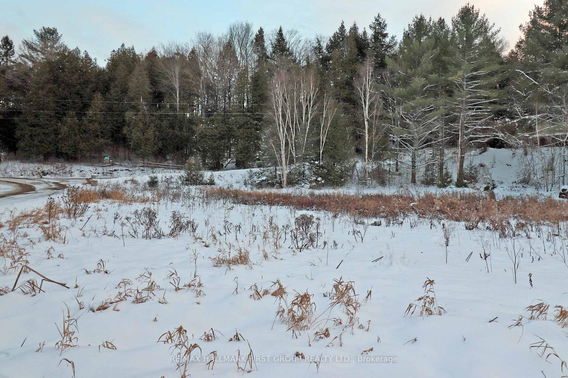 Photo 11 of Pt Lt 3 Rapids Road, Tweed, Hungerford (Twp) — HOMEH