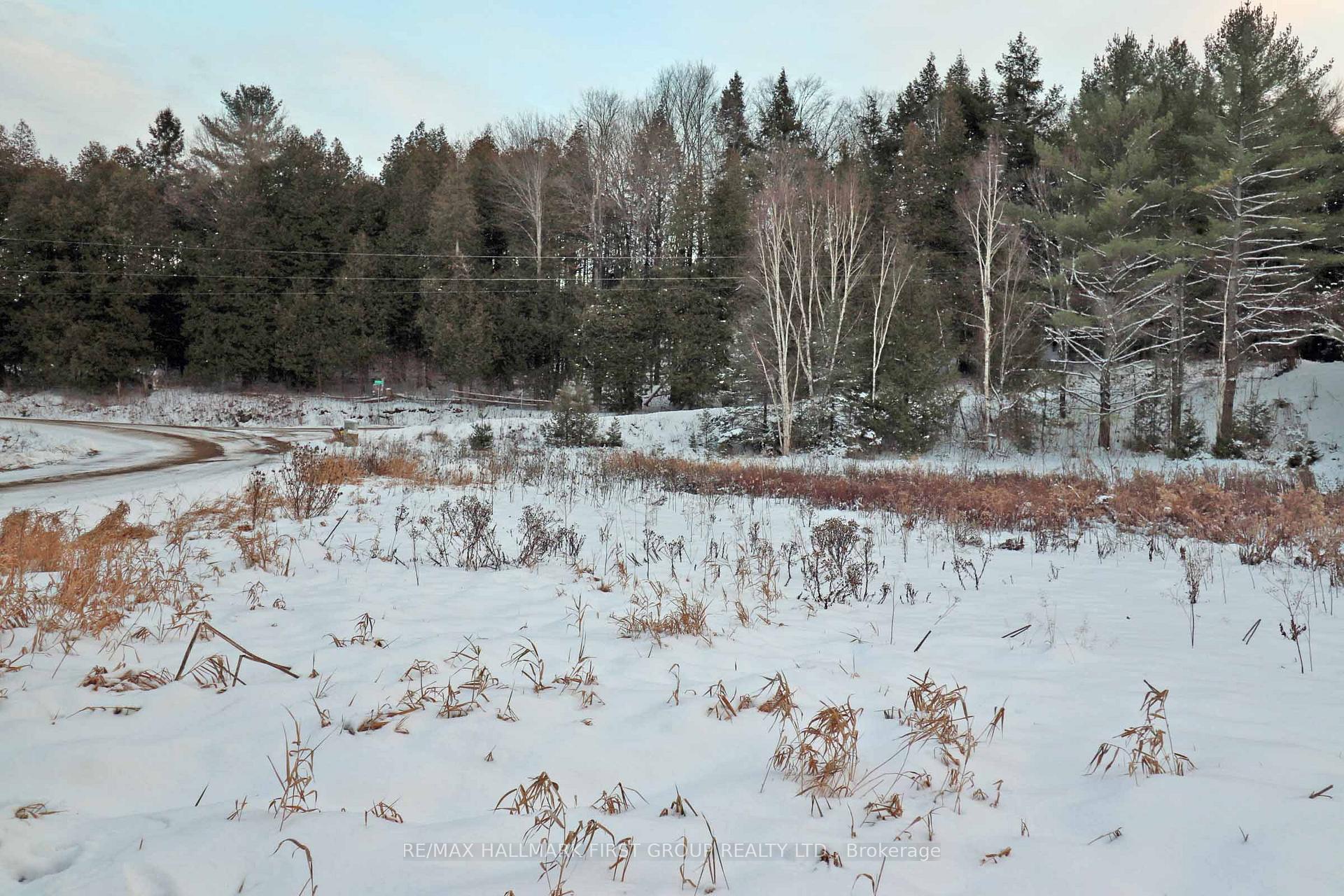 Photo 12 of Pt Lt 3 Rapids Road, Tweed, Hungerford (Twp) — HOMEH