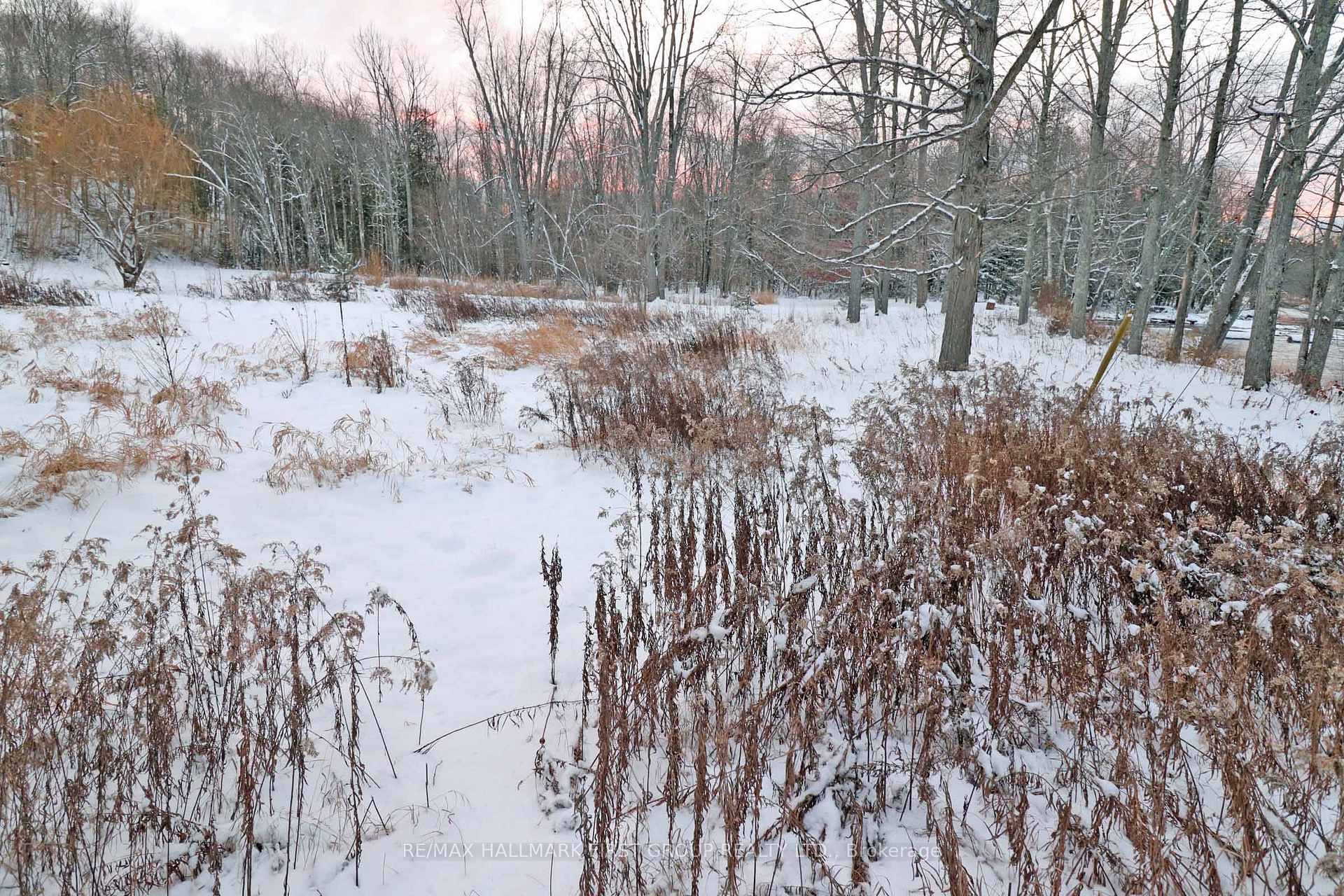 Photo 17 of Pt Lt 3 Rapids Road, Tweed, Hungerford (Twp) — HOMEH
