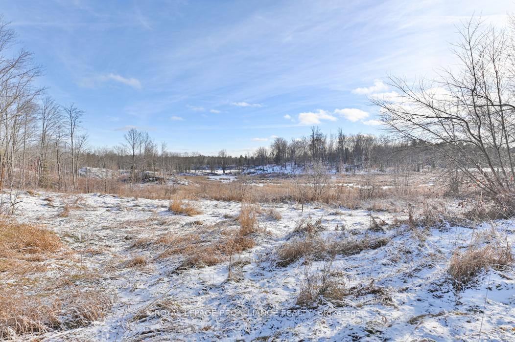 Photo 32 of 906 Rockies Road, Tweed, Elzevir (Twp) — HOMEH