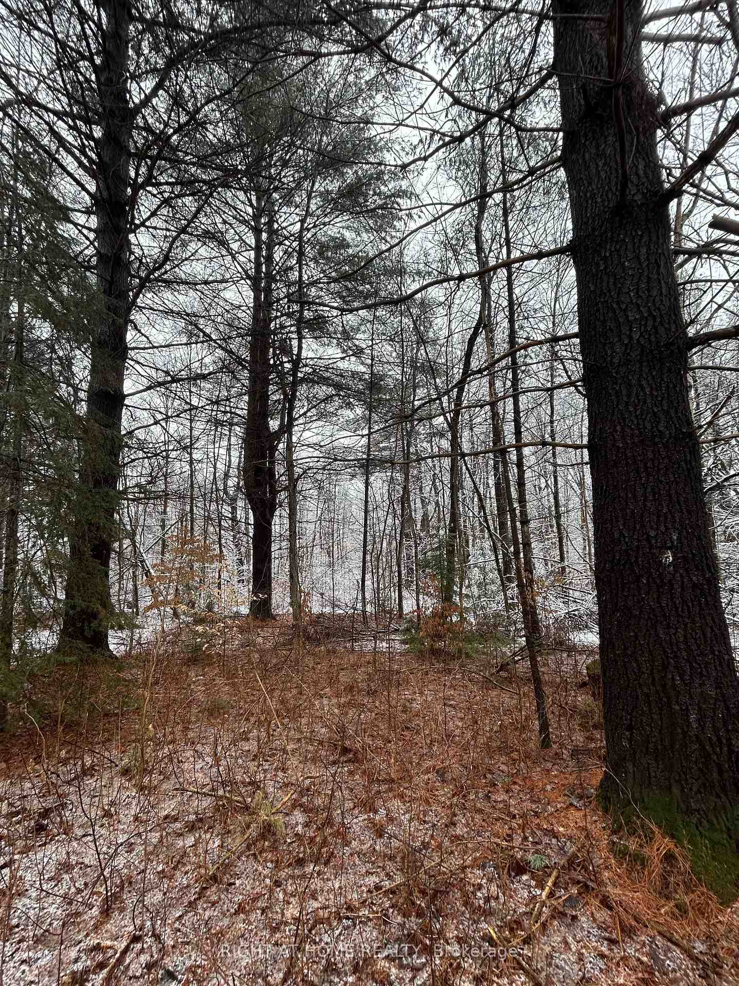 Photo 3 of 00 Skootamatta Lane, Tweed, Elzevir (Twp) — HOMEH