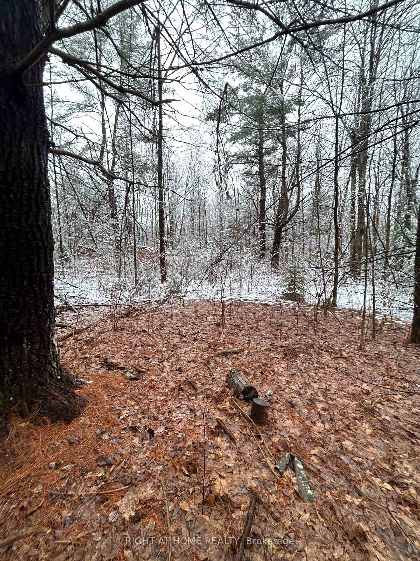 Photo 11 of 00 Skootamatta Lane, Tweed, Elzevir (Twp) — HOMEH