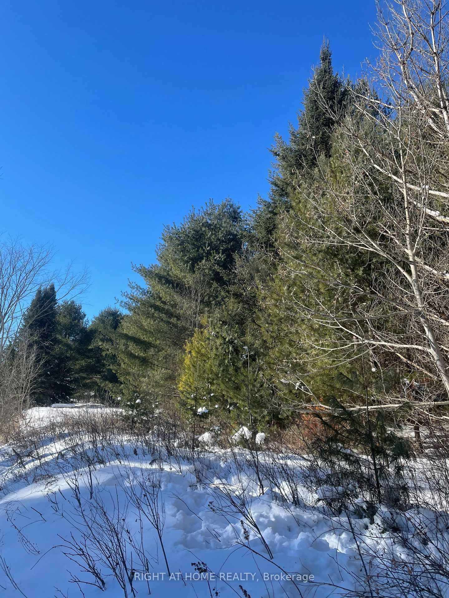 Photo 15 of 00 Skootamatta Lane, Tweed, Elzevir (Twp) — HOMEH