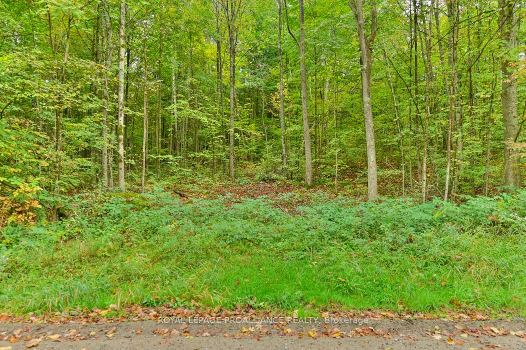 Photo 2 of Deroche Road, Tweed, Hungerford (Twp) — HOMEH