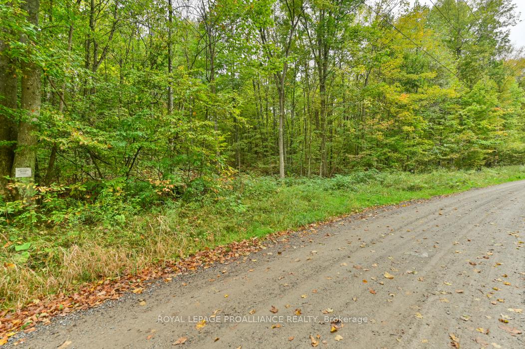 Photo 3 of Deroche Road, Tweed, Hungerford (Twp) — HOMEH