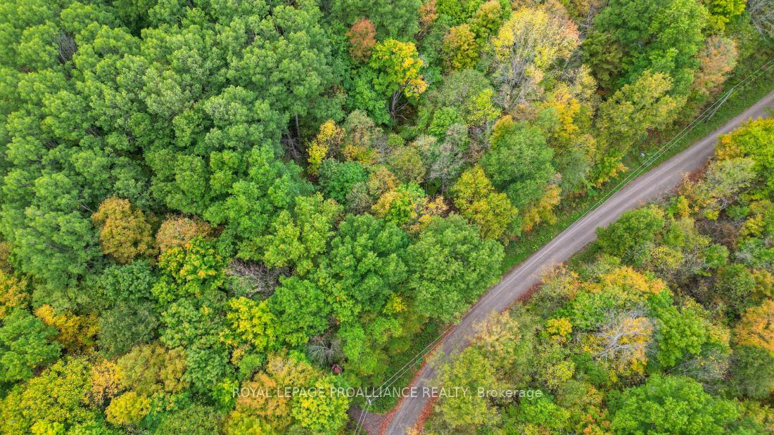 Photo 6 of Deroche Road, Tweed, Hungerford (Twp) — HOMEH