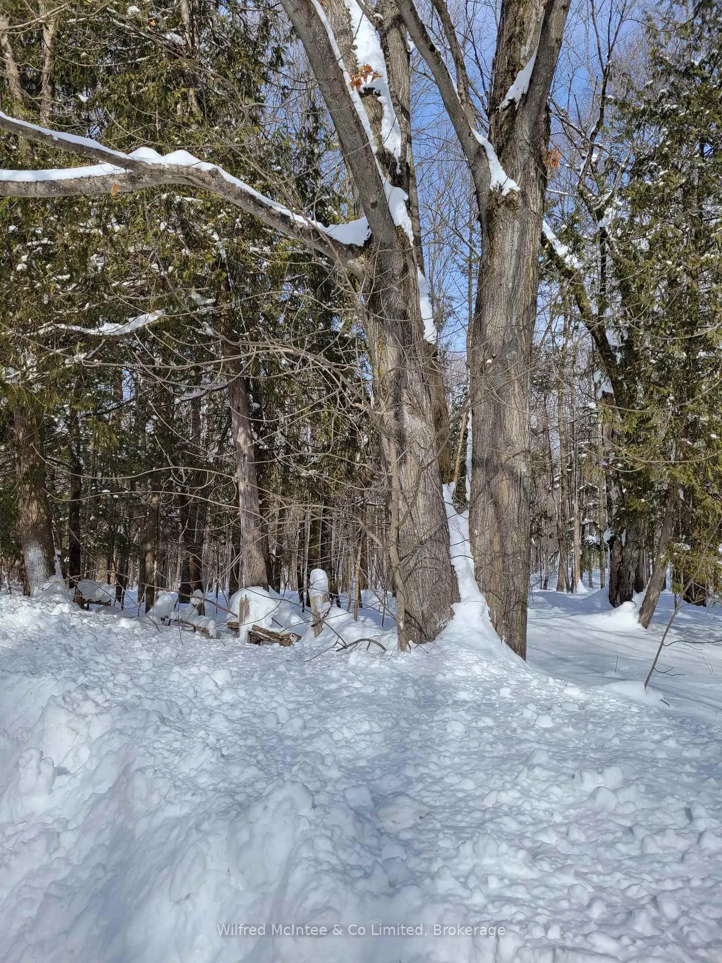 Photo 2 of PtLt 26 Mulock Road, West Grey — HOMEH