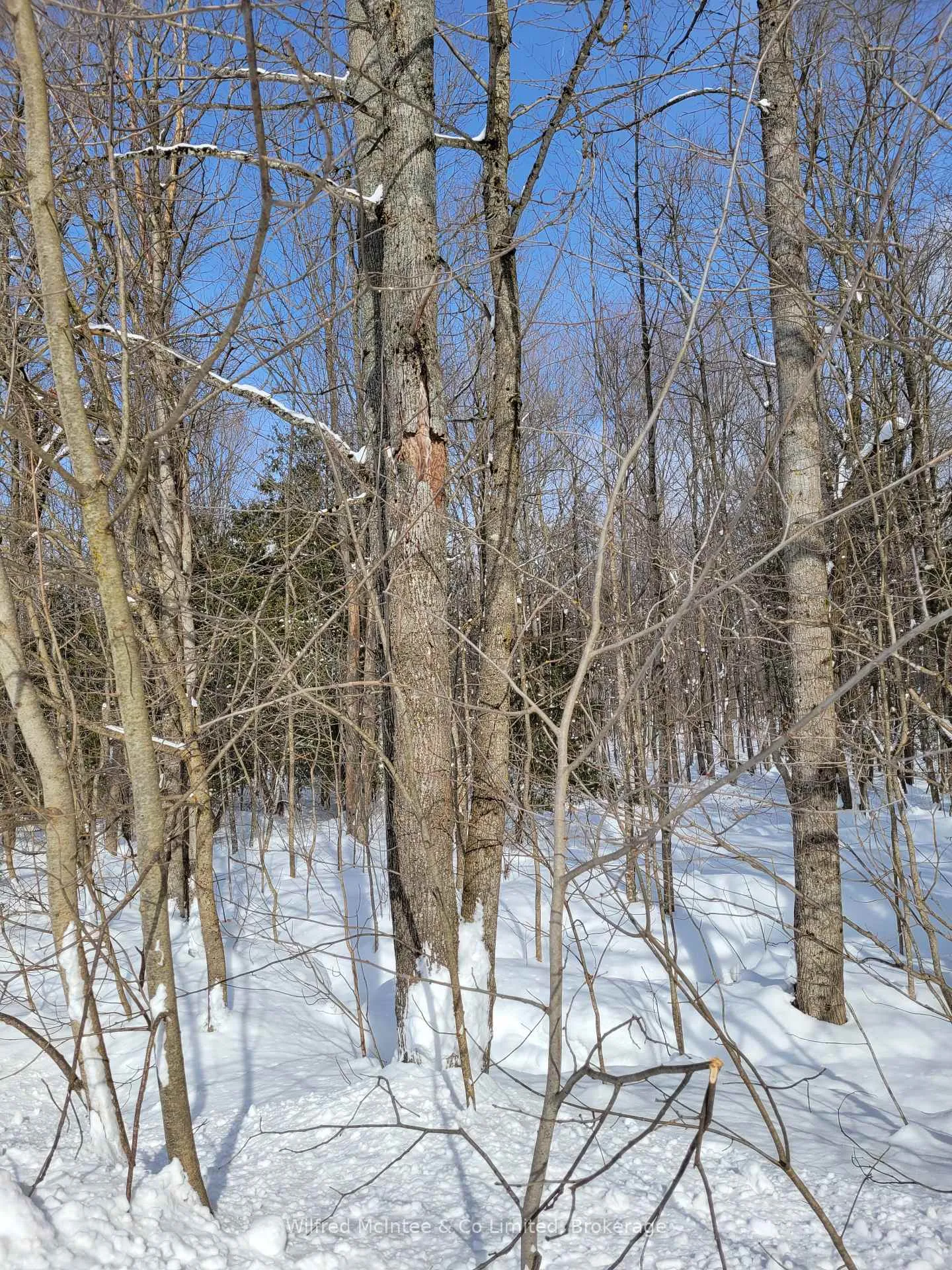 Photo 3 of PtLt 26 Mulock Road, West Grey — HOMEH