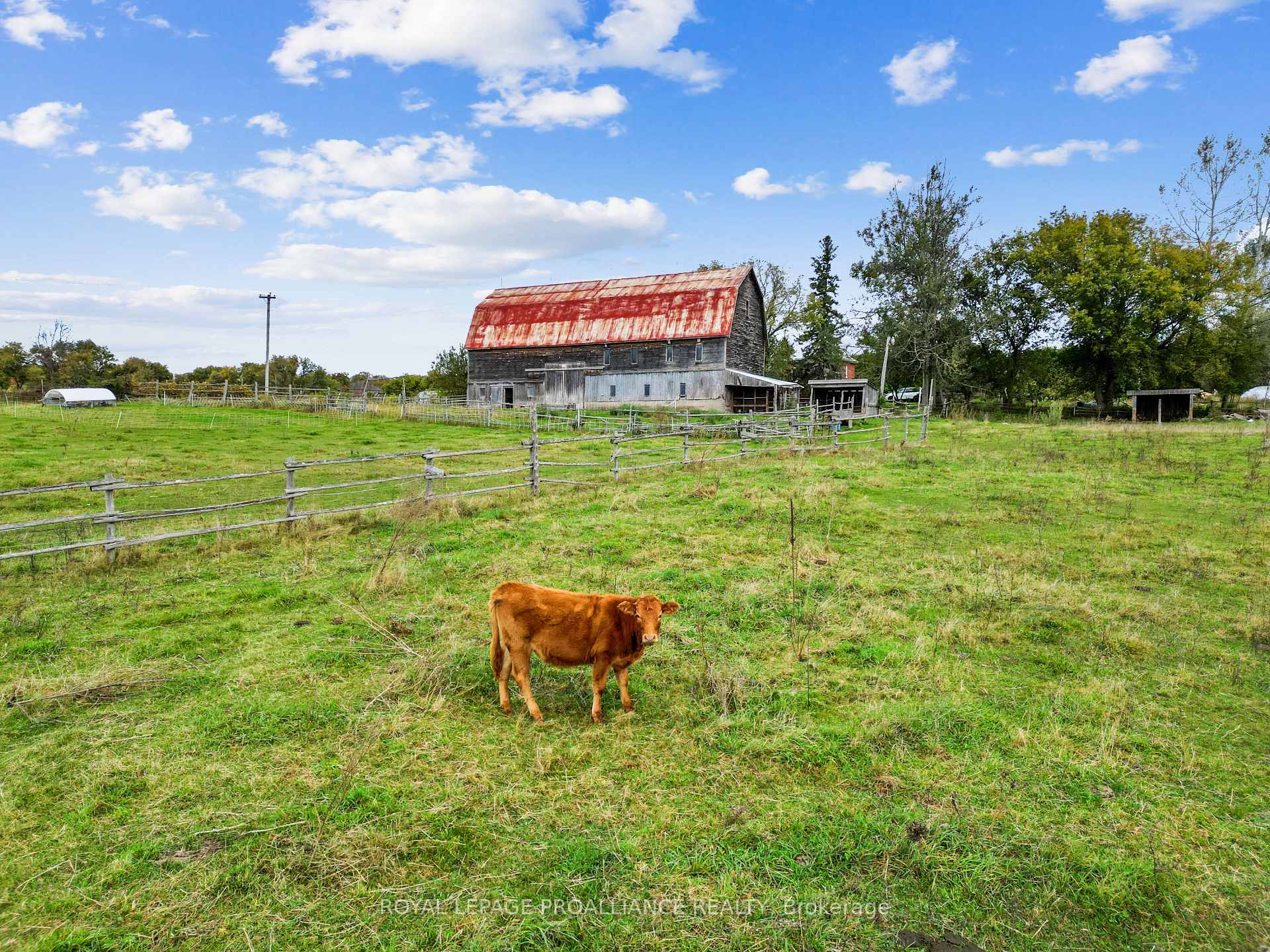 Photo 28 of 5244 Highway 37, Tweed, Hungerford (Twp) — HOMEH