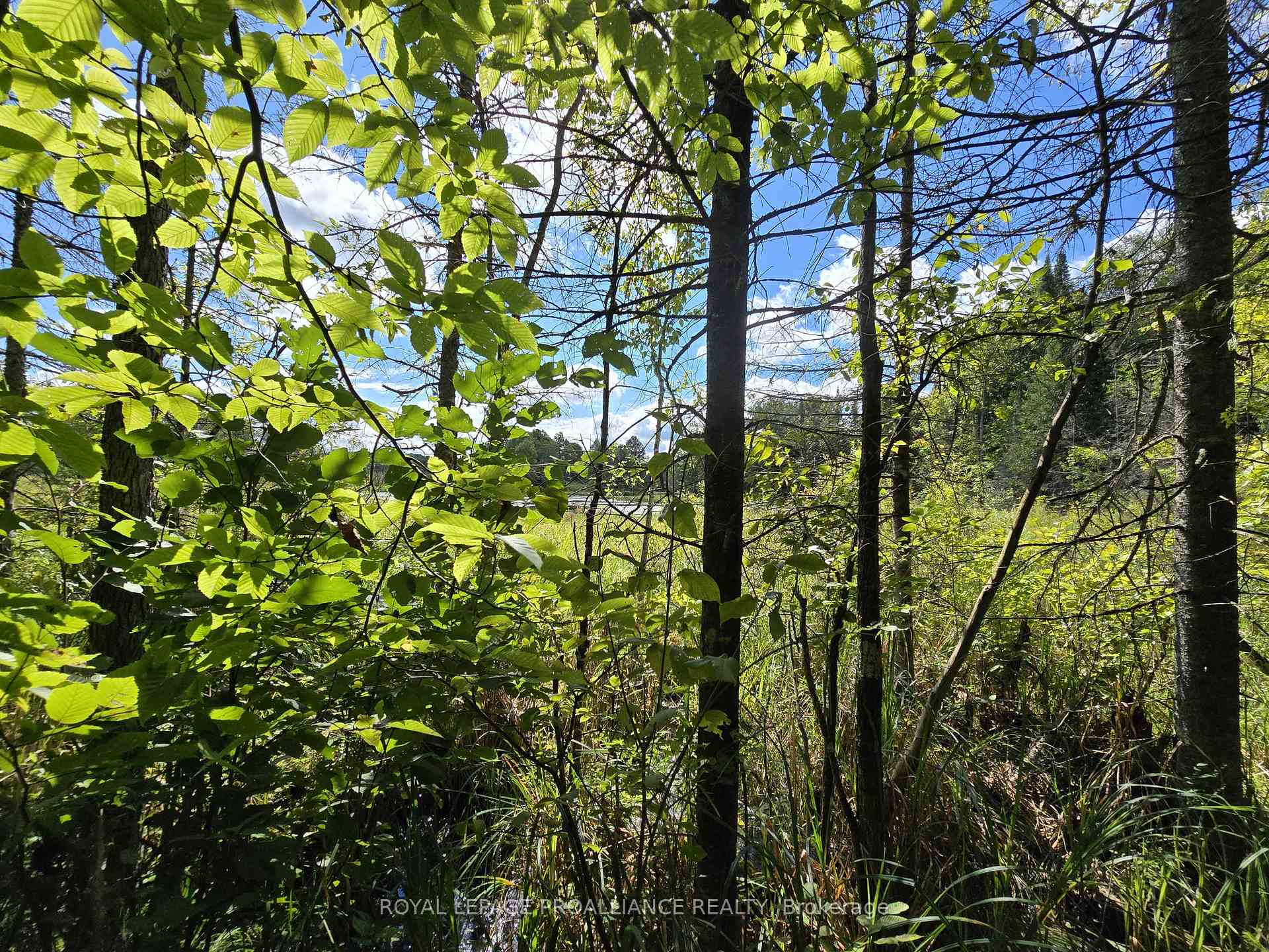 Photo 2 of Conchie Road, Tweed, Hungerford (Twp) — HOMEH