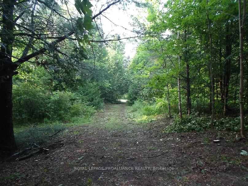 Photo 6 of Conchie Road, Tweed, Hungerford (Twp) — HOMEH