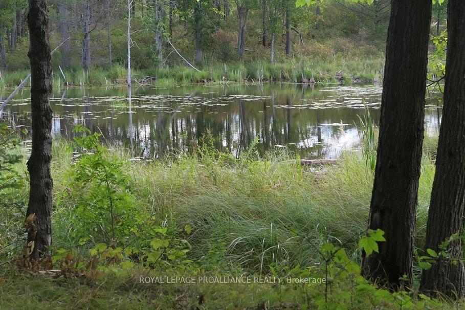 Photo 10 of Conchie Road, Tweed, Hungerford (Twp) — HOMEH