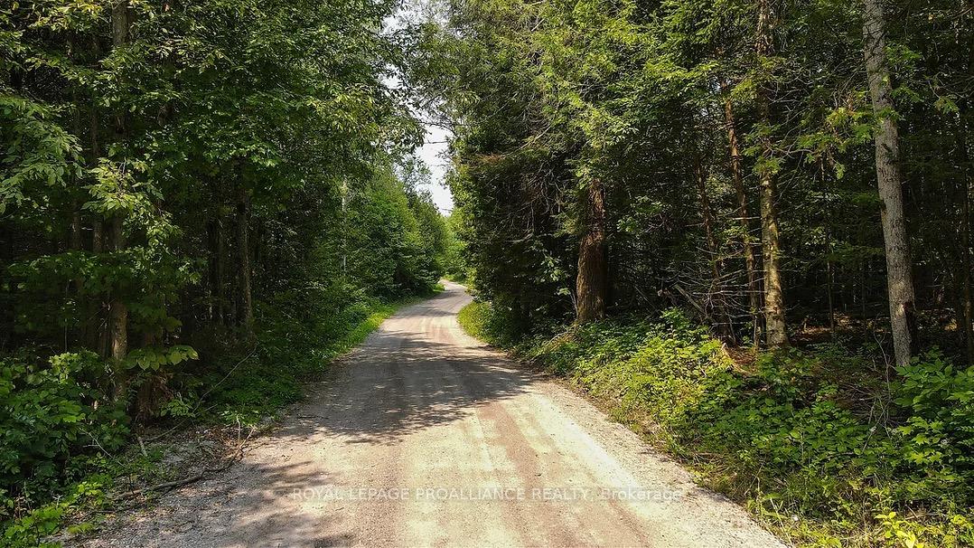 Photo 15 of Conchie Road, Tweed, Hungerford (Twp) — HOMEH