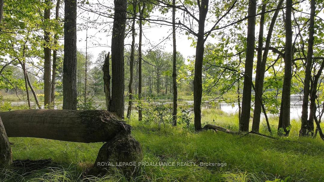 Photo 23 of Conchie Road, Tweed, Hungerford (Twp) — HOMEH