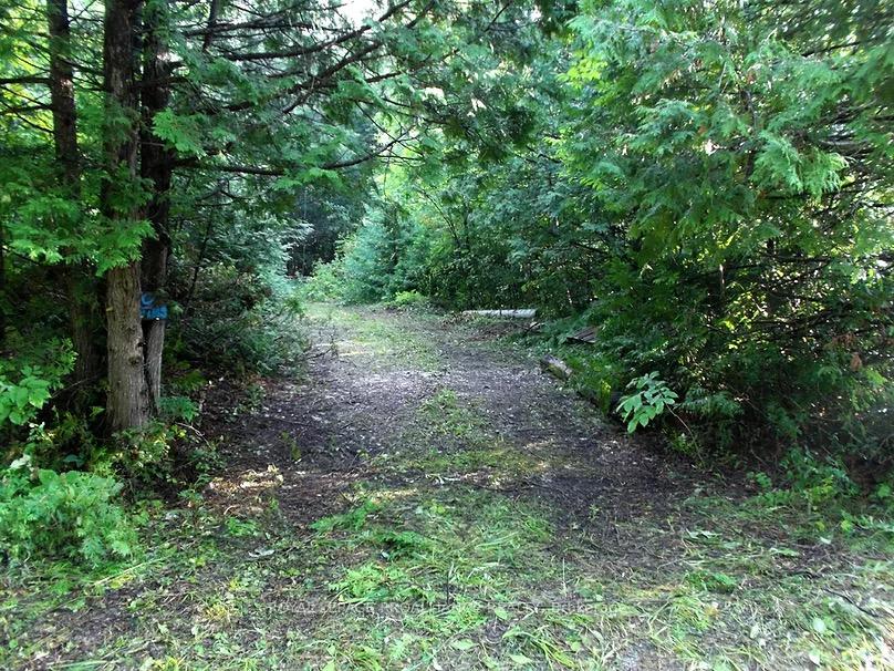 Photo 28 of Conchie Road, Tweed, Hungerford (Twp) — HOMEH