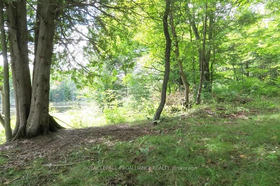 Photo 35 of Conchie Road, Tweed, Hungerford (Twp) — HOMEH