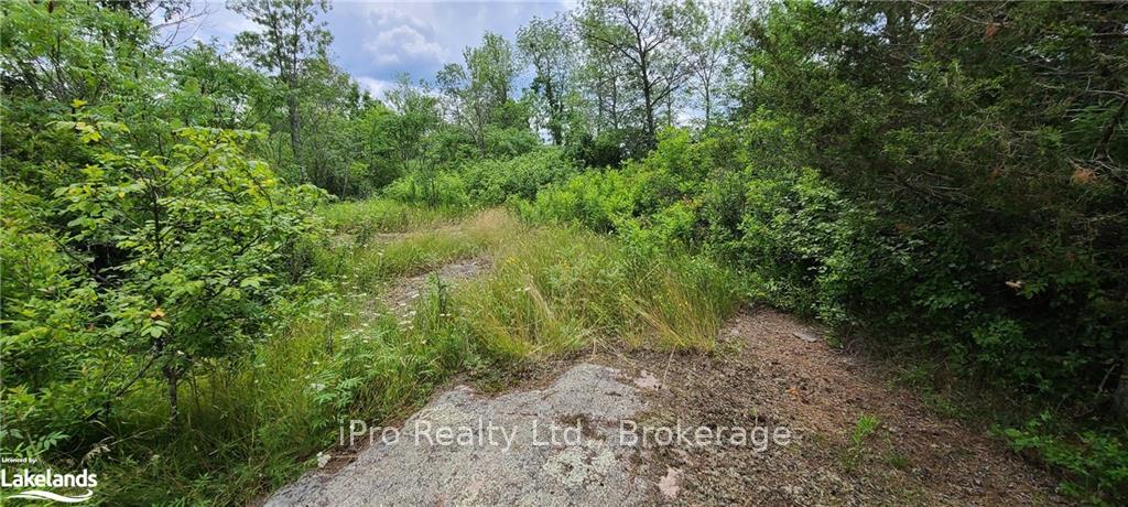 Photo 20 of 840 Courneya Road, Tweed, Hungerford (Twp) — HOMEH