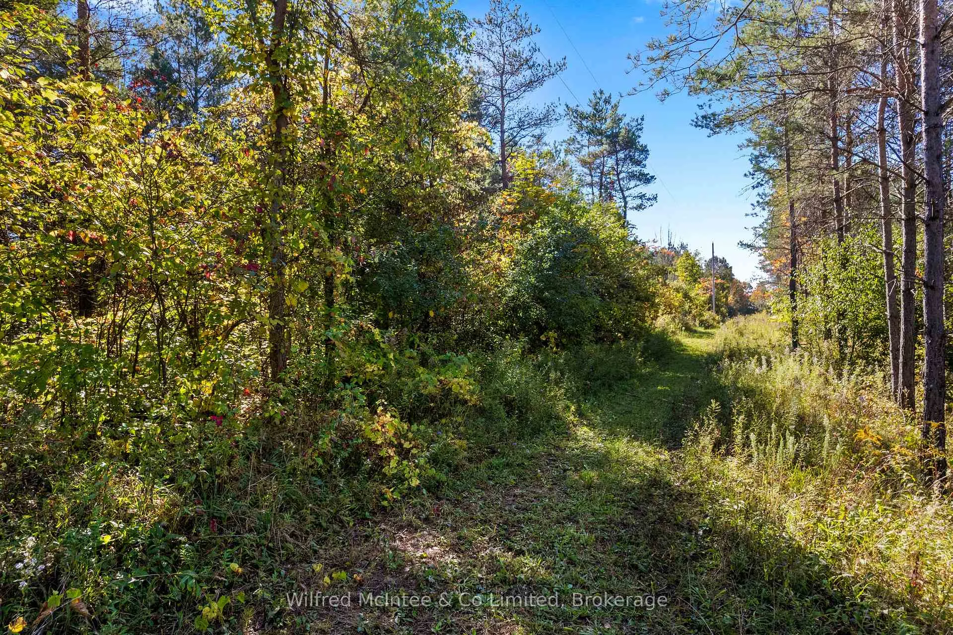 Photo 43 of 302148 Con 2 Sdr, West Grey — HOMEH