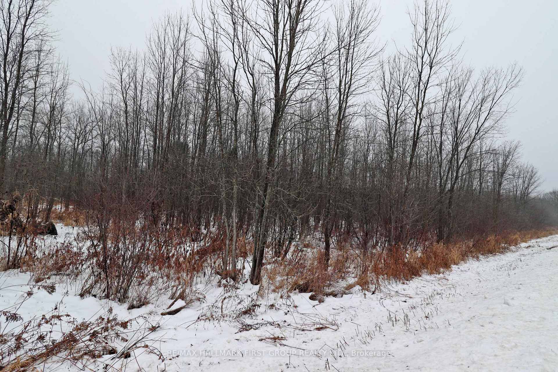 Photo 4 of 1481 Sulphide Road, Tweed, Hungerford (Twp) — HOMEH
