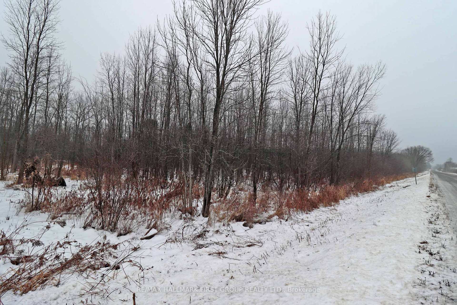 Photo 5 of 1481 Sulphide Road, Tweed, Hungerford (Twp) — HOMEH