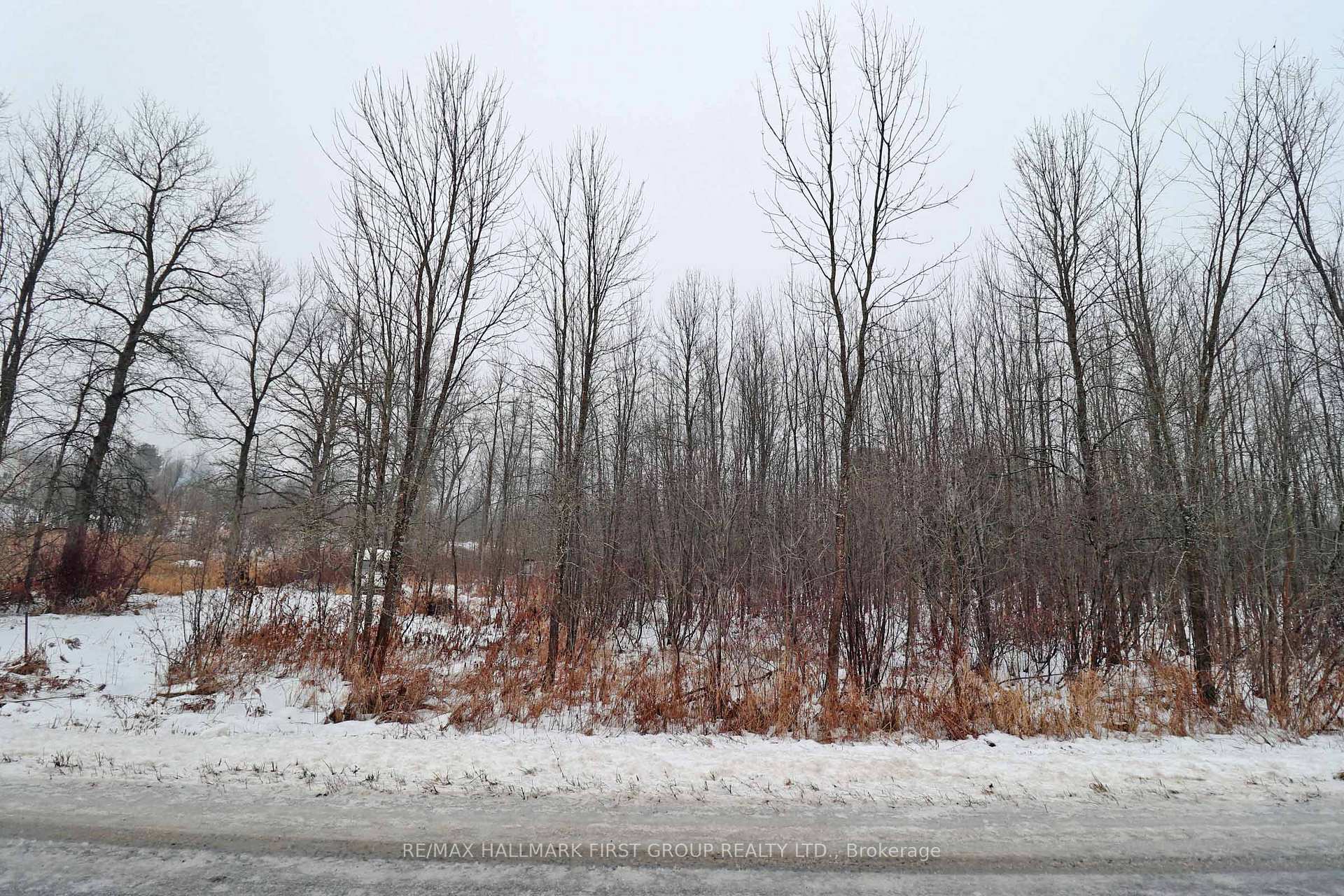 Photo 7 of 1481 Sulphide Road, Tweed, Hungerford (Twp) — HOMEH