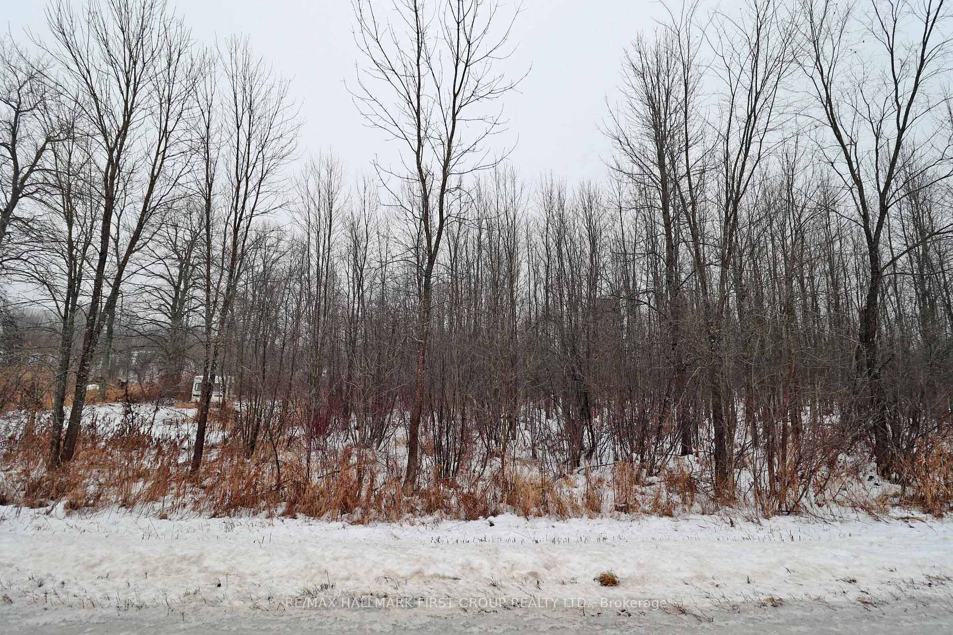Photo 8 of 1481 Sulphide Road, Tweed, Hungerford (Twp) — HOMEH